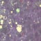 12 Pack: Glitzy Mix Specialty Polyester Glitter by Recollections™